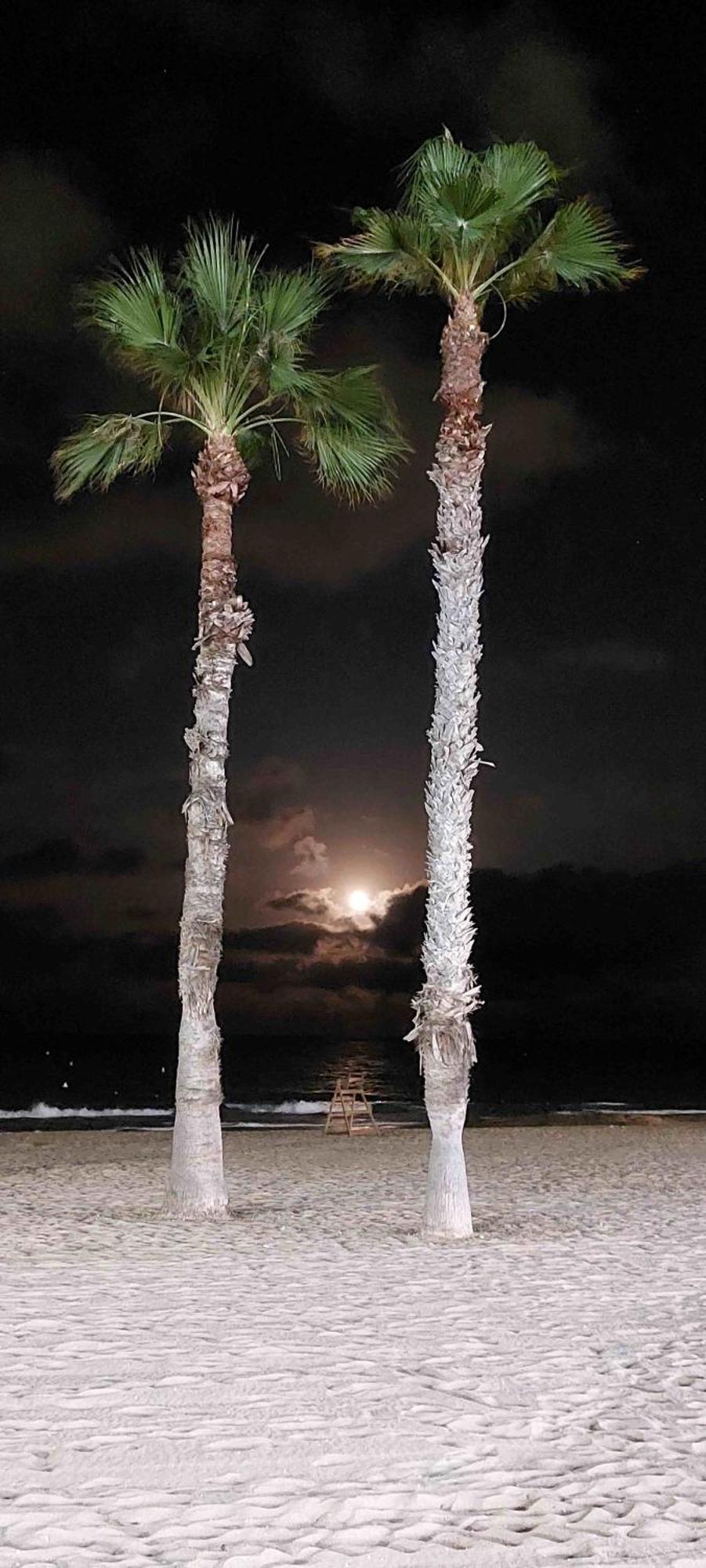 Urbanizacion Puerto Romano - Playa ลามาตา ภายนอก รูปภาพ